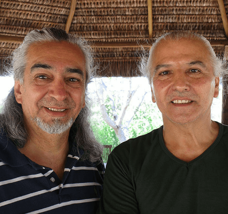 koki-e-pajarin-sola-no-mundo