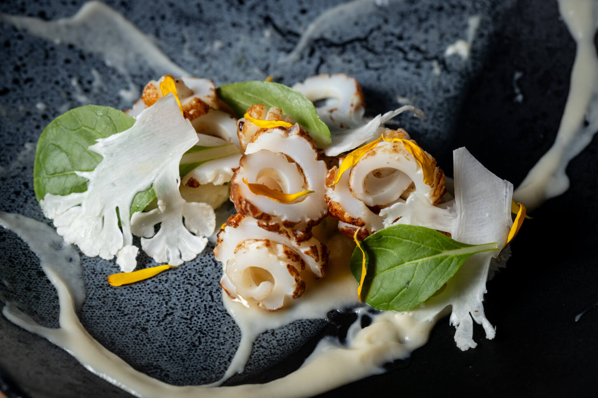 salsify 