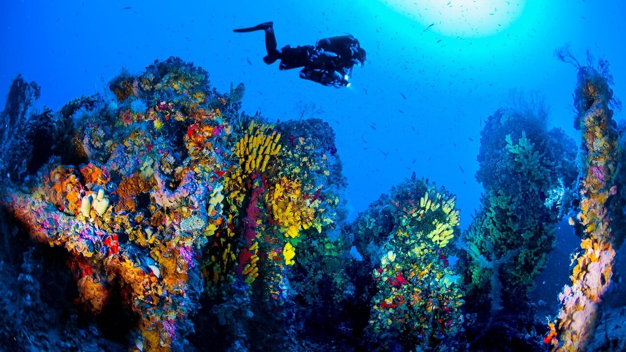 onde mergulhar em malta