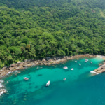 O mar e a mata atlântica em Ilha Grande/Civitatis