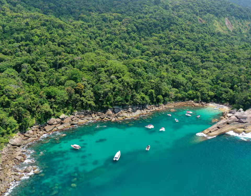 O mar e a mata atlântica em Ilha Grande/Civitatis
