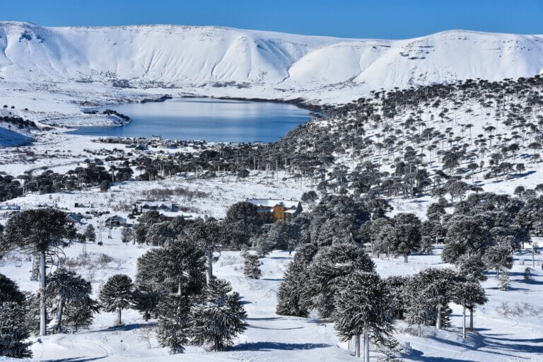 Neuquén