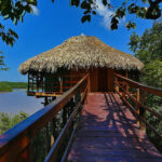 Juma Amazon Lodge