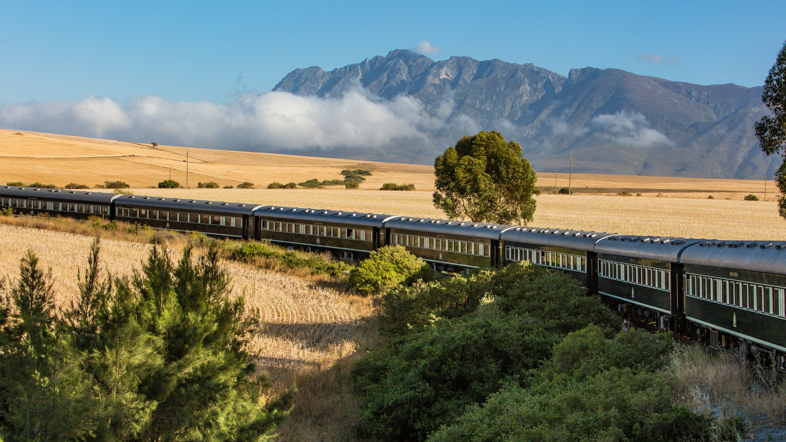 Rovos Rail: a viagem de trem que atravessa a África Austral em 16 noites