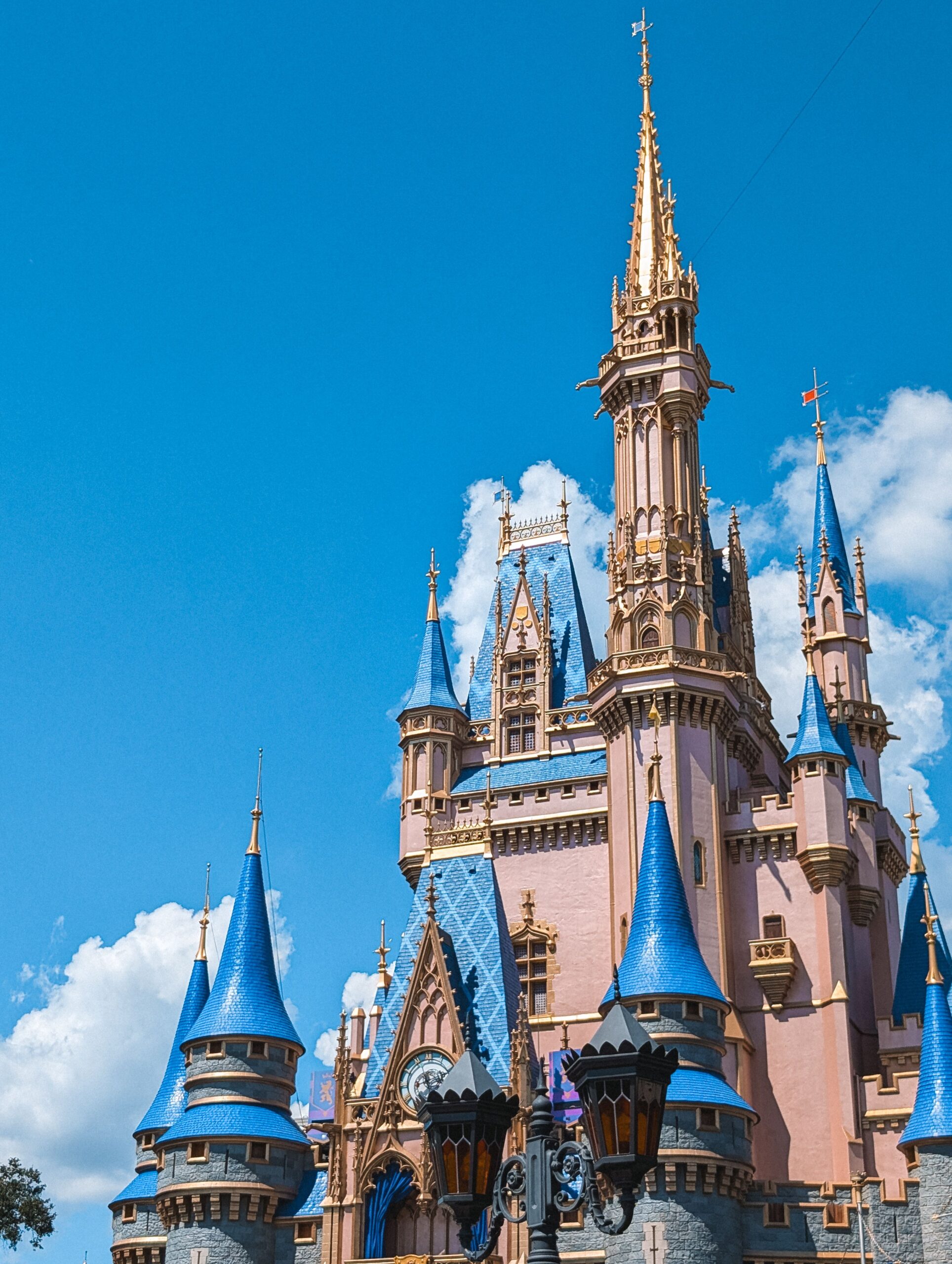 Disney está investindo em novas áreas