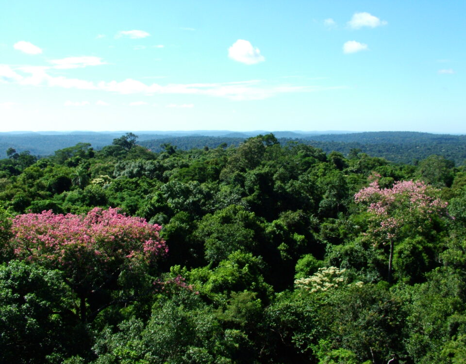 Cataratas do Iguaçu