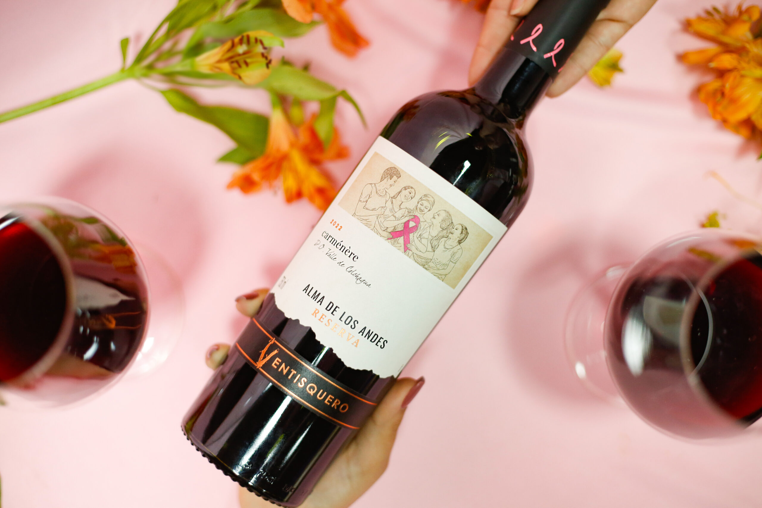 Ventisquero Reserva Carménère