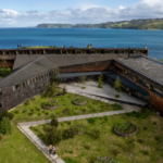 refugia chiloé